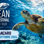 Ocean Film Festival